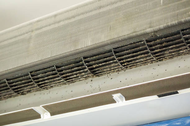 Best HVAC Air Duct Cleaning  in South Sarasota, FL